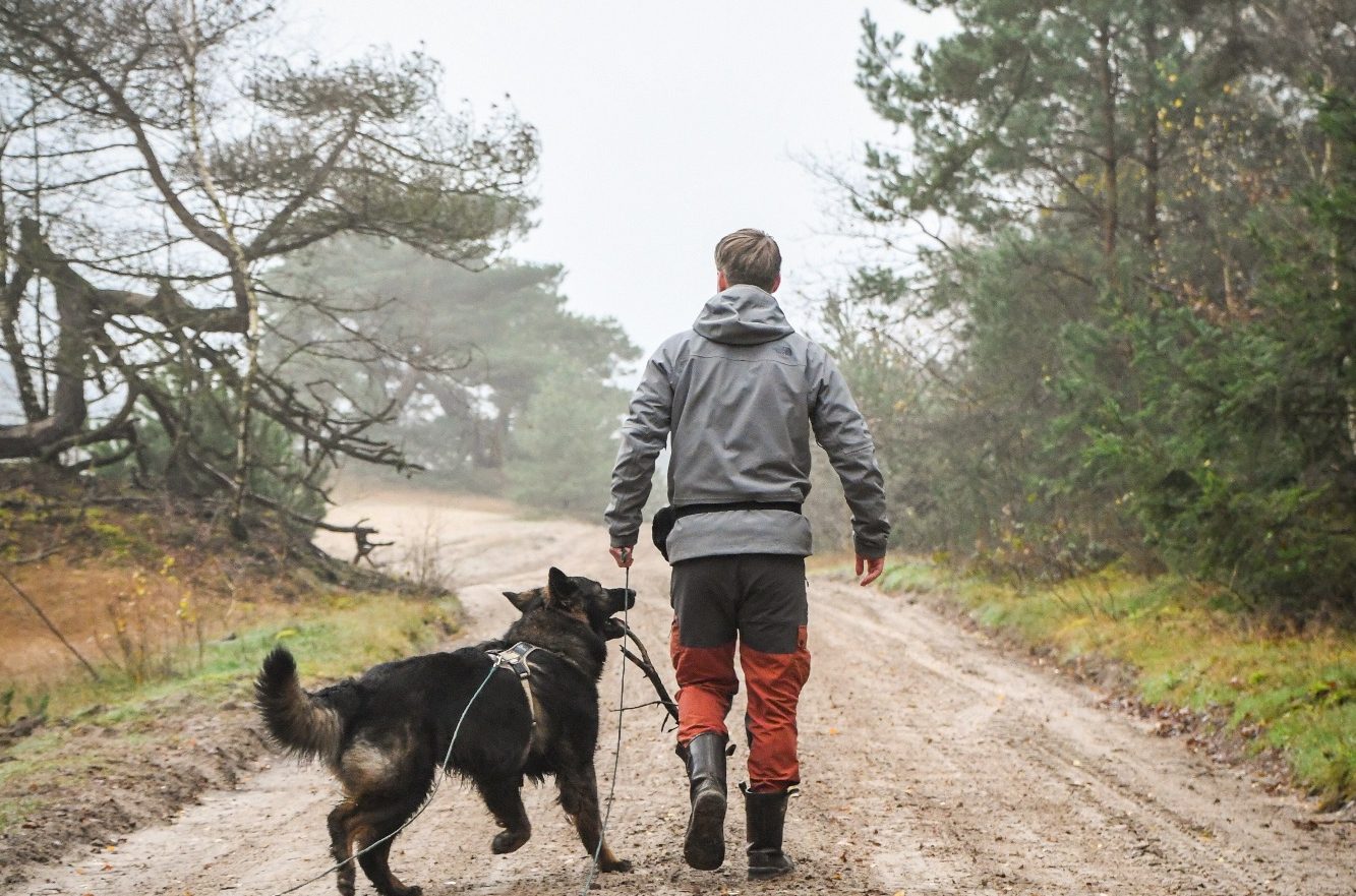 Een persoon wandelt met een hond op een mistige, onverharde weg in de natuur.