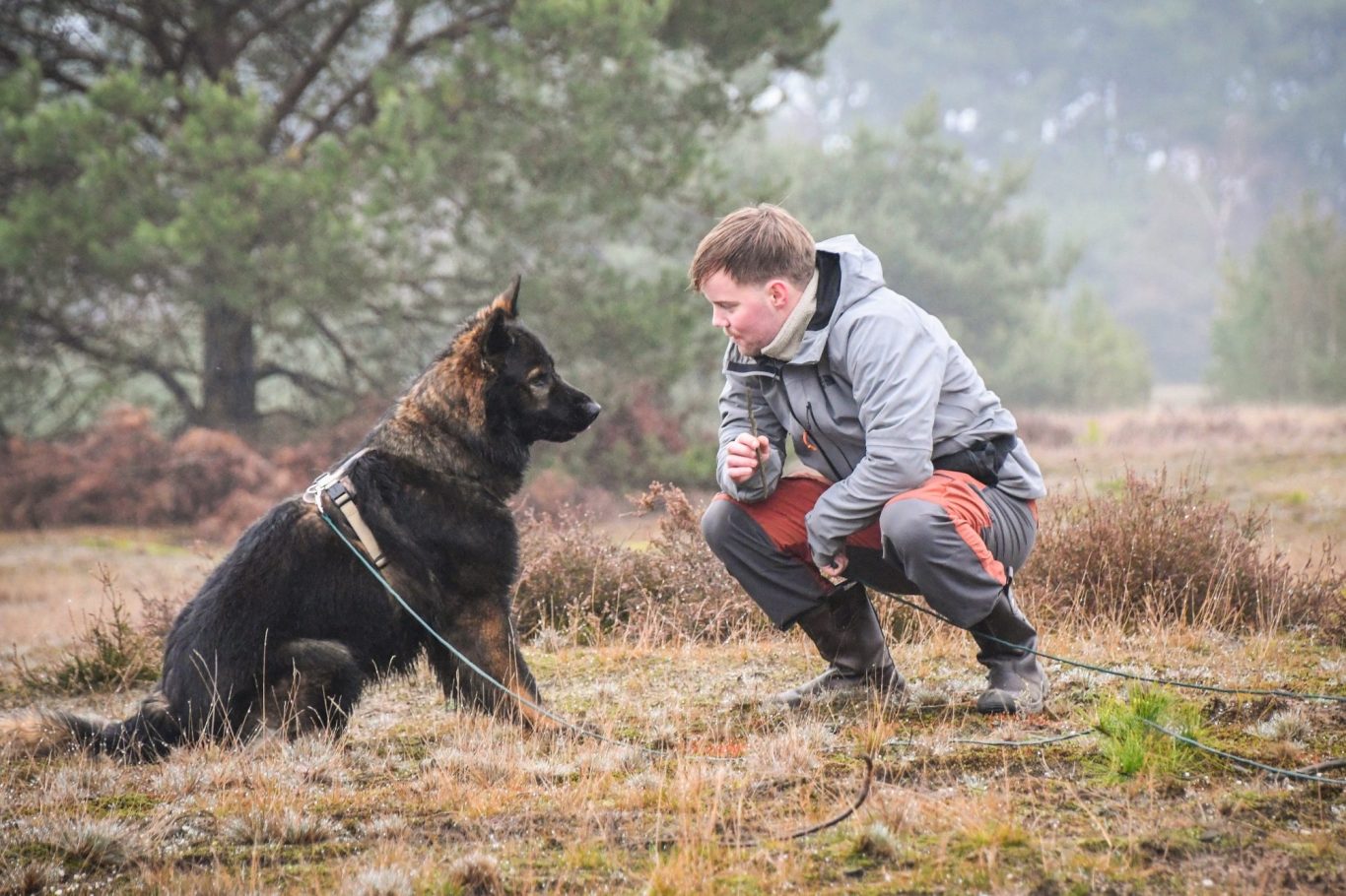 Een man knielt naast een Duitse herder in een bosrijke omgeving.
